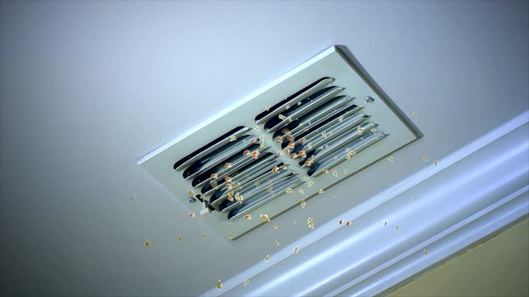 Best Local Air Duct Cleaning Services  in Springville, IA