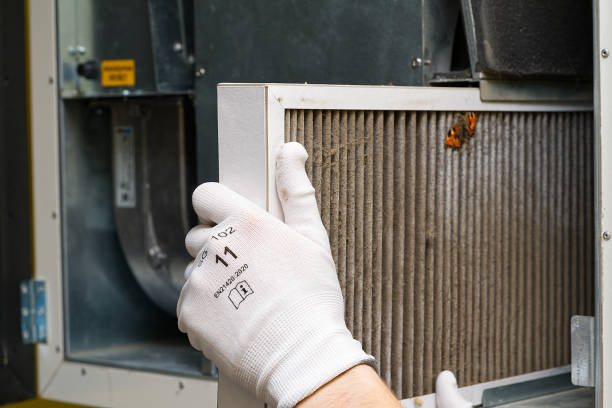 Best Air Duct Mold Removal  in Springville, IA