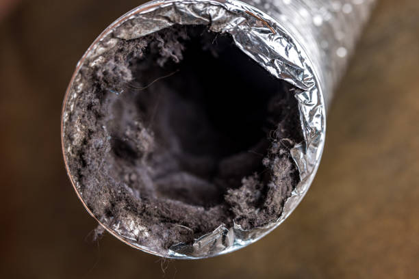 Best Air Duct Cleaning Near Me  in Springville, IA