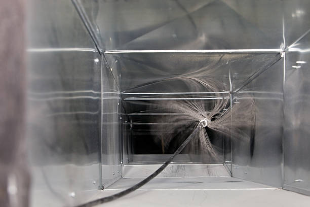 Air Duct Mold Removal in Springville, IA