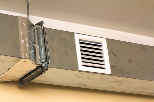 Best Home Air Vent Cleaning  in Springville, IA